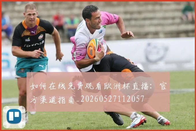 如何在线免费观看欧洲杯直播:官方渠道指南_20260527112057