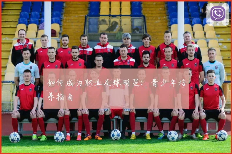 如何成为职业足球明星：青少年培养指南